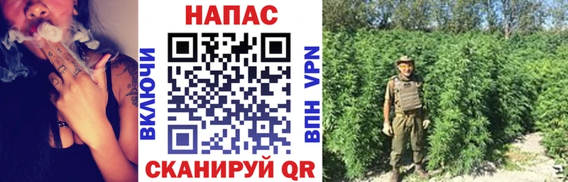 Купить закладку Бошки Шишки  Alpha-PVP  ГАШ  МДМА  Меф  Амфетамин  Братск