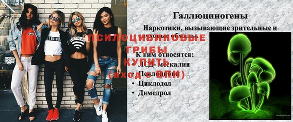 прущий лед Заводоуковск