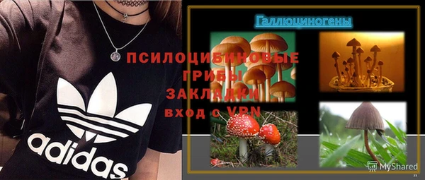 прущий лед Заводоуковск