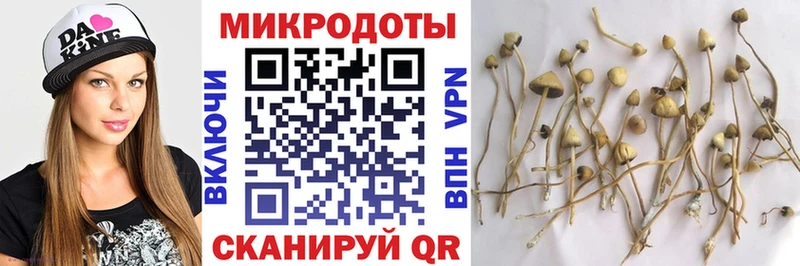 Псилоцибиновые грибы мицелий  Купить где  Братск 